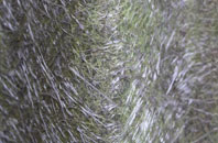 Congresbury fibreglass roof work